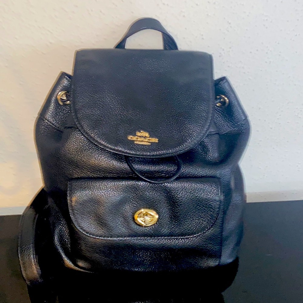 Mini Coach backpack